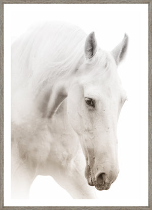 Argent Cheval I wall art featuring a close-up of a white horse's head with soft focus