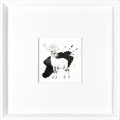 17 × 17 in – White Frame