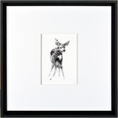 17 × 17 in – Marco negro