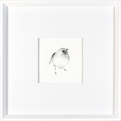 17 × 17 in – White Frame