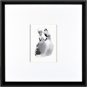 Budgie Bird wall art featuring a watercolor illustration in black and white, framed in black.