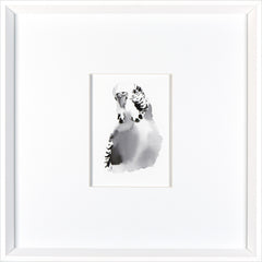 17 × 17 in – White Frame