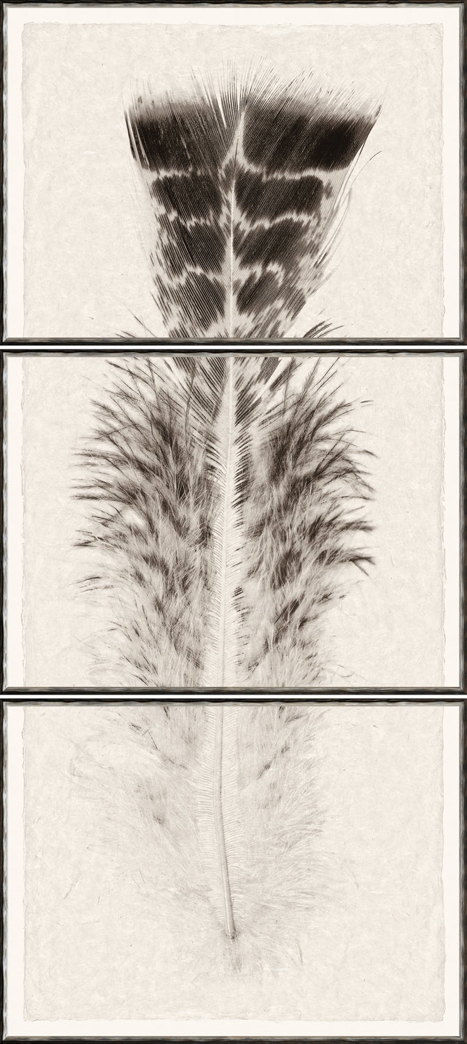 Taupe Plume I – Triptych wall art featuring a detailed feather design in neutral tones.