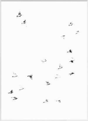 Flight Path I — nature and landscape fine art print in neutral tones at Laurie Yapp Home