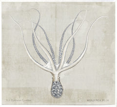 45.25 × 41.25 in