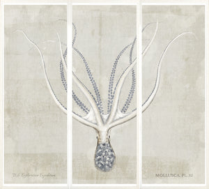 Mollusca Pl 32 wall art featuring an octopus illustration on a textured beige background.