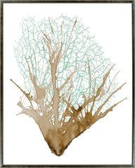 31 × 38 in