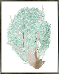 31 × 38 in