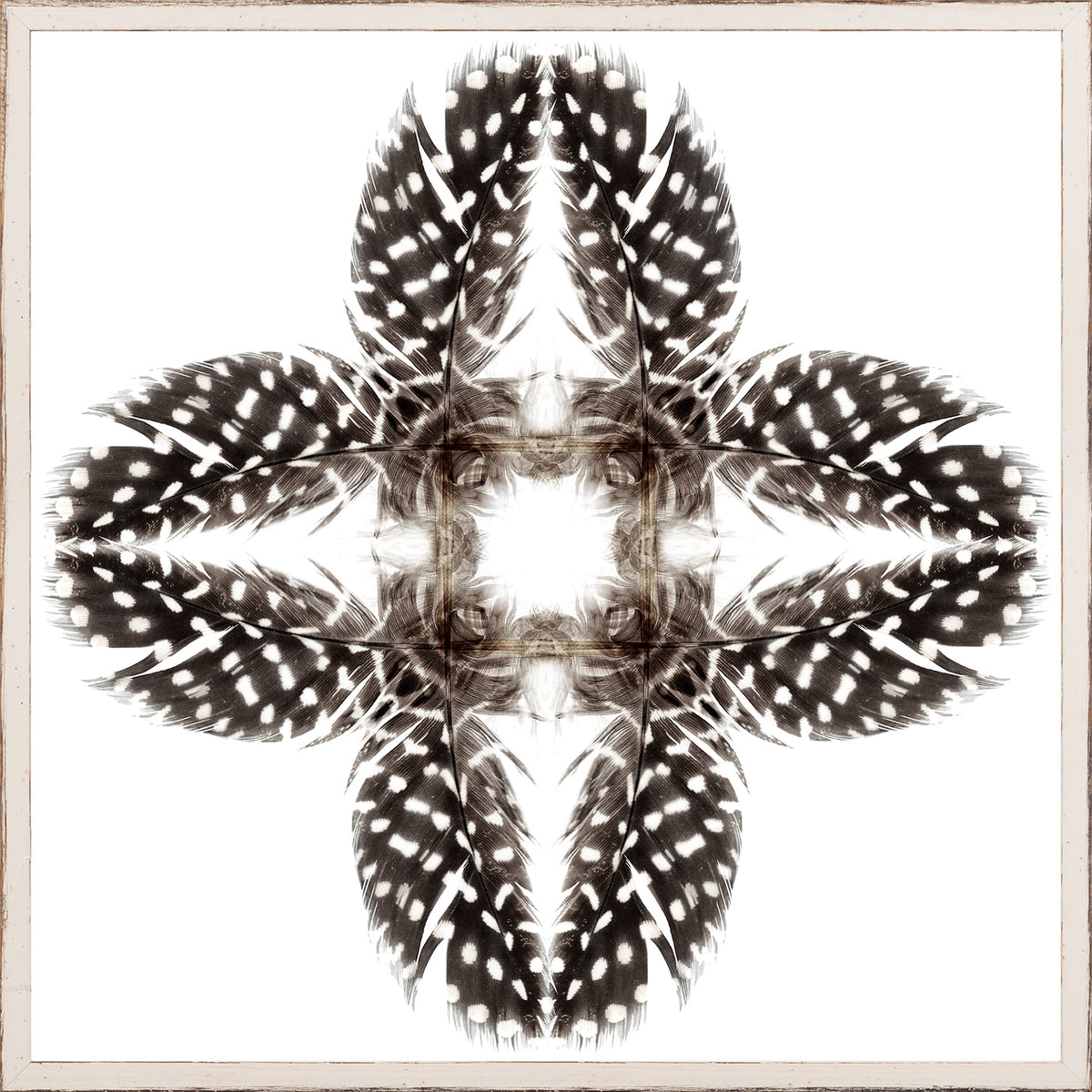 Feather Mandala I wall art featuring a symmetrical design of black and white feathers on a white background.