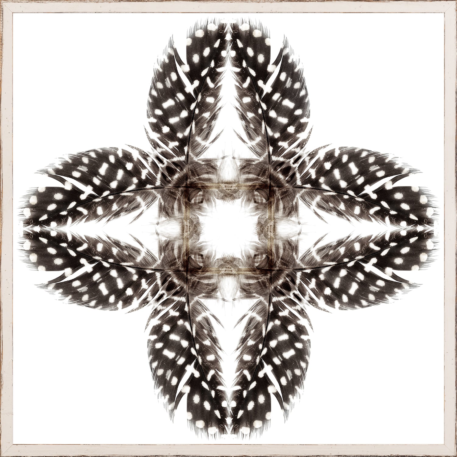 Feather Mandala I wall art featuring a symmetrical design of black and white feathers on a white background.
