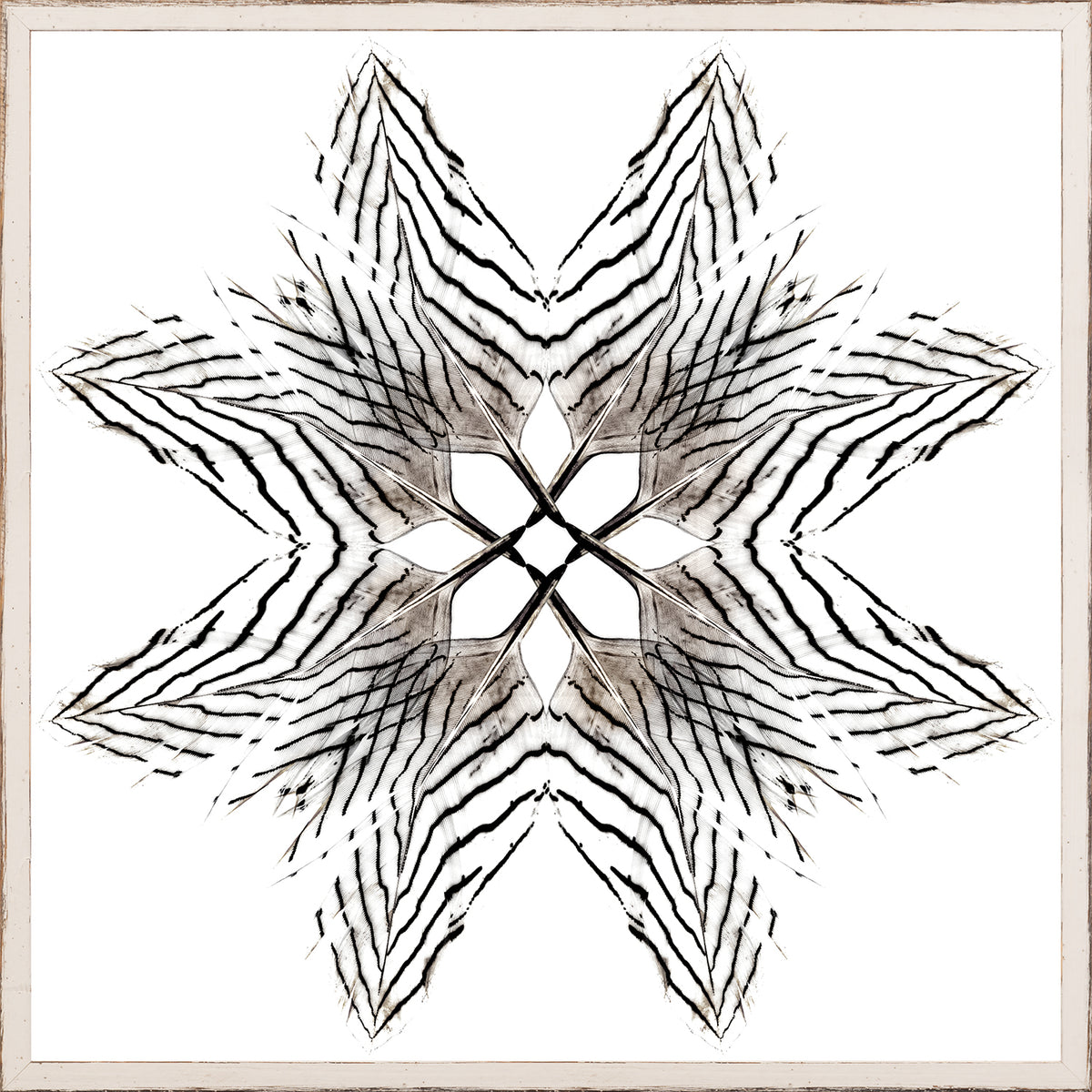 Feather Mandala III wall art featuring a black and white feather design on a white background.