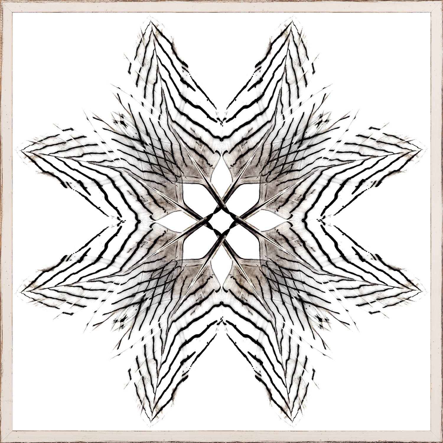 Feather Mandala III wall art featuring a black and white feather design on a white background.