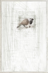 27 × 40 pulgadas