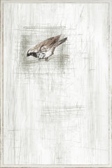 27 × 40 in