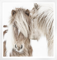 42.75 × 44.75 in – Glass Framed, White Frame