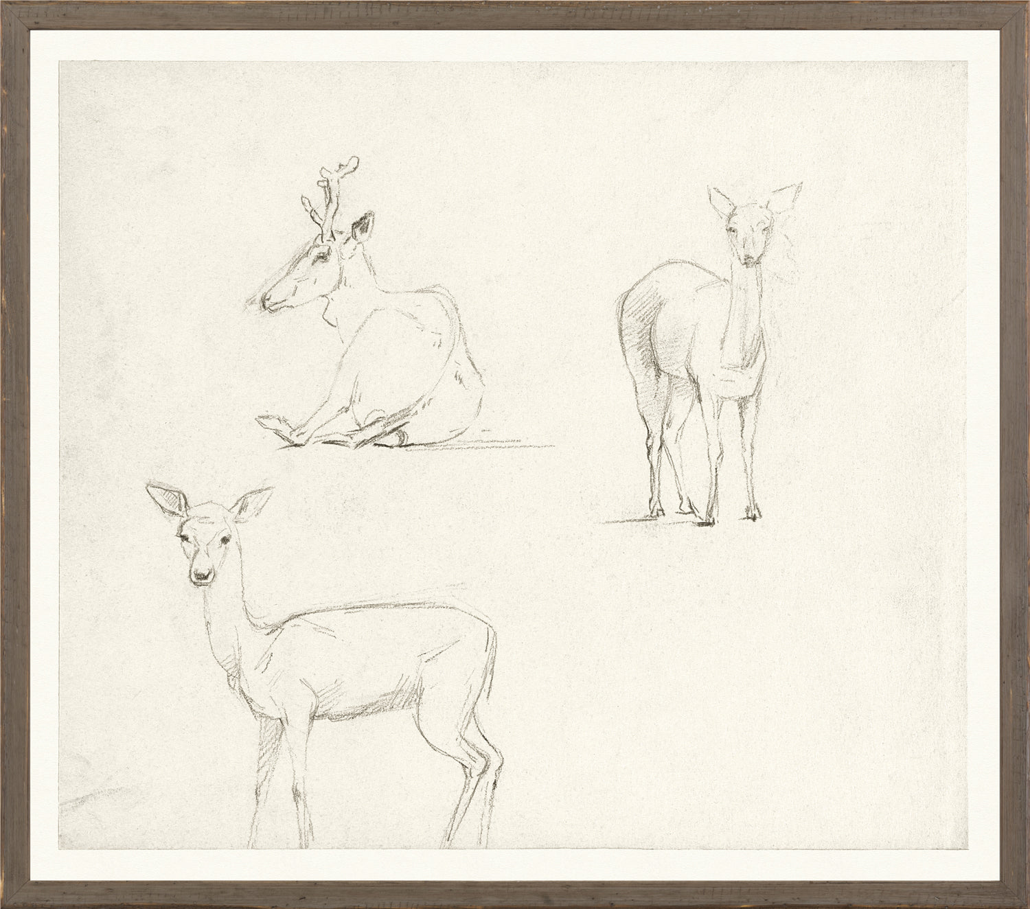 Collection 07 – Church – Three Deer Sketch – 1850, featuring three deer sketches in pencil on textured paper.