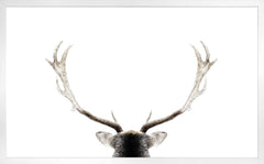 52.75 × 32.75 in – White Frame
