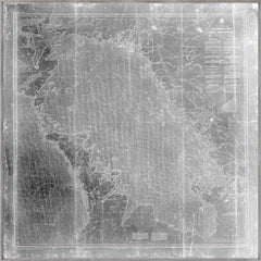 41 × 41 in