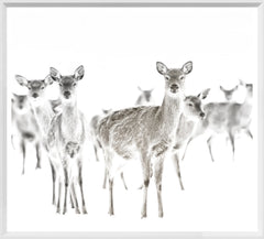 21 × 19 in – White Frame
