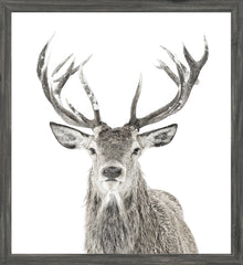 22 × 24 in – Glass Framed, Grey Frame