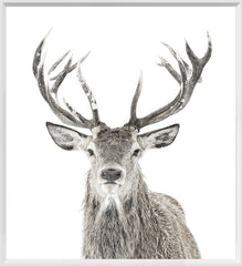 21 × 23 in – Glass Framed, White Frame