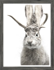 17 × 22 pulg. – Marco gris