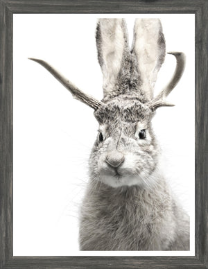 Jackalope — nature and landscape fine art print shown from another angle