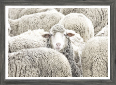 22 × 16 in – Grey Frame
