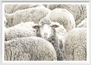 One in the Crowd — nature and landscape fine art print in neutral tones at Laurie Yapp Home