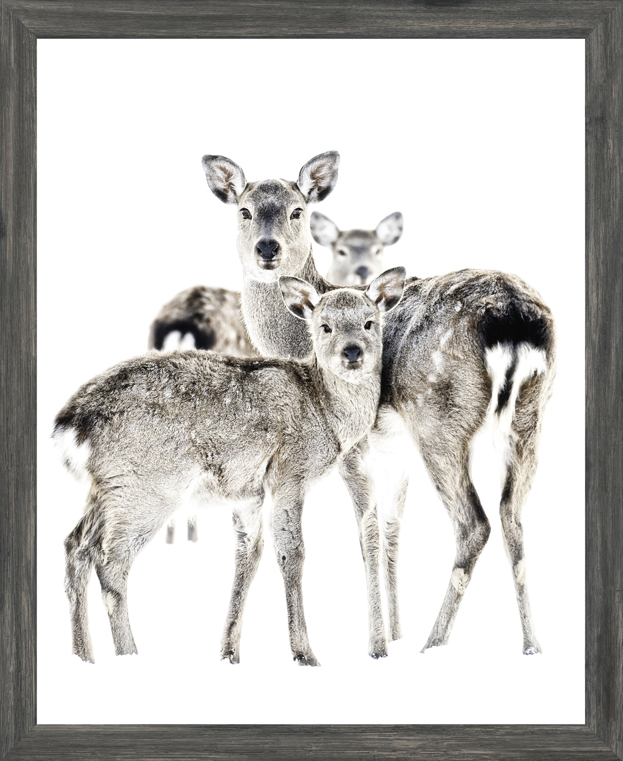 Maternal Vigil wall art with three deer, framed in a dark gray border