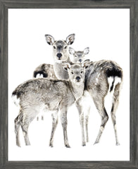 18 × 22 pulg. – Marco gris