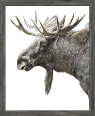 18 × 22 pulg. – Marco gris