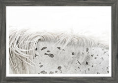 20 × 14 pulg. – Marco gris