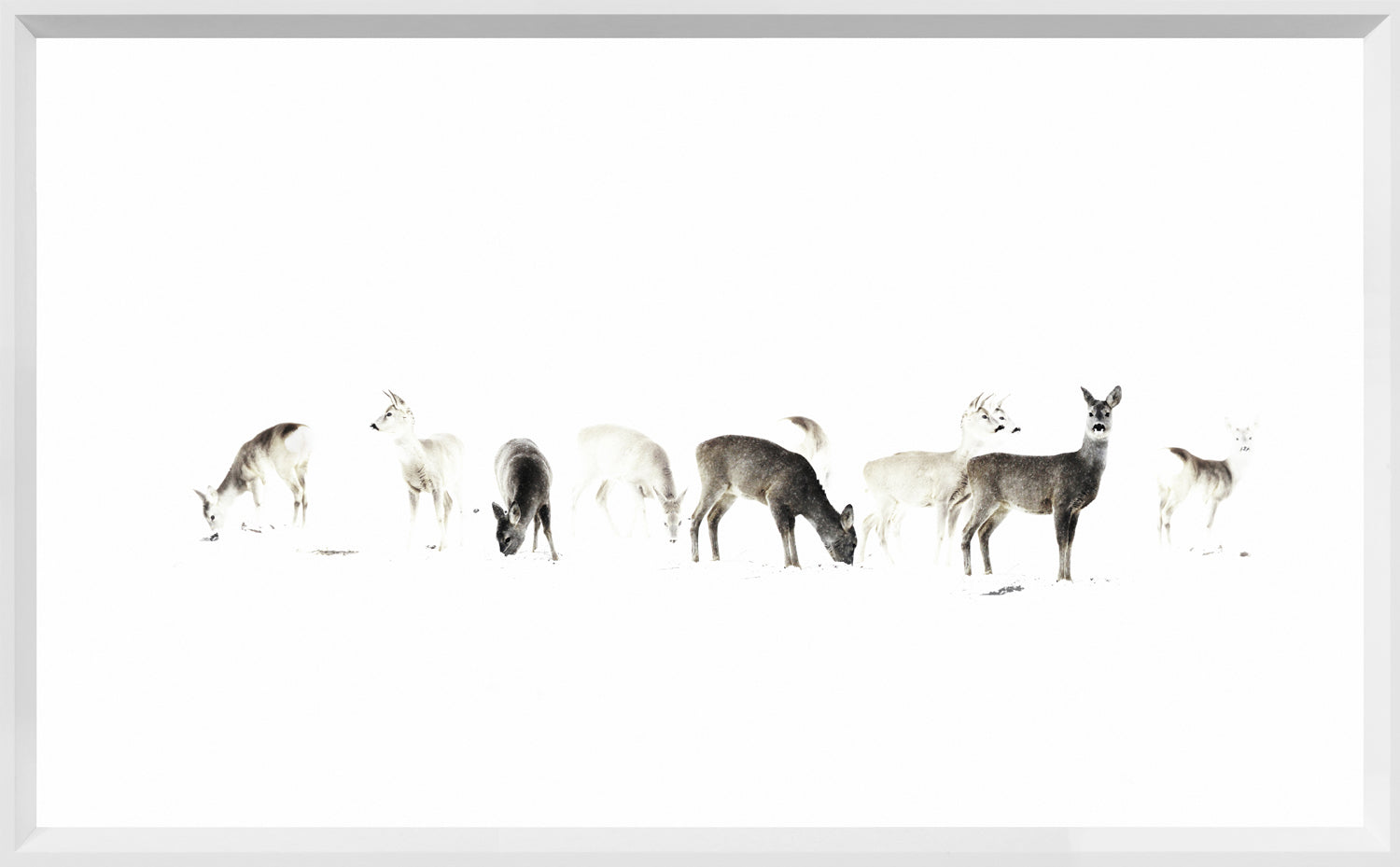 The Gathering — nature and landscape fine art print shown from another angle