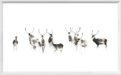 21 × 13 in – White Frame