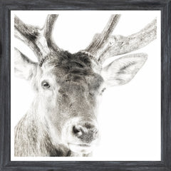 18 × 18 in – Marco de cristal, Marco gris