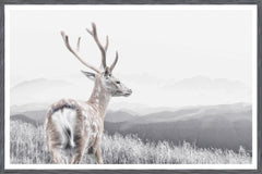 51 × 34 in – Grey Frame