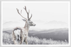 50.5 × 33.5 in – White Frame