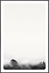 37 × 55 in
