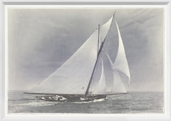 24 × 17 in – Glass Framed