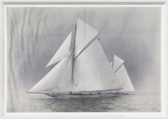 24 × 17 in
