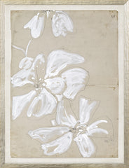 13 × 17 pulg.