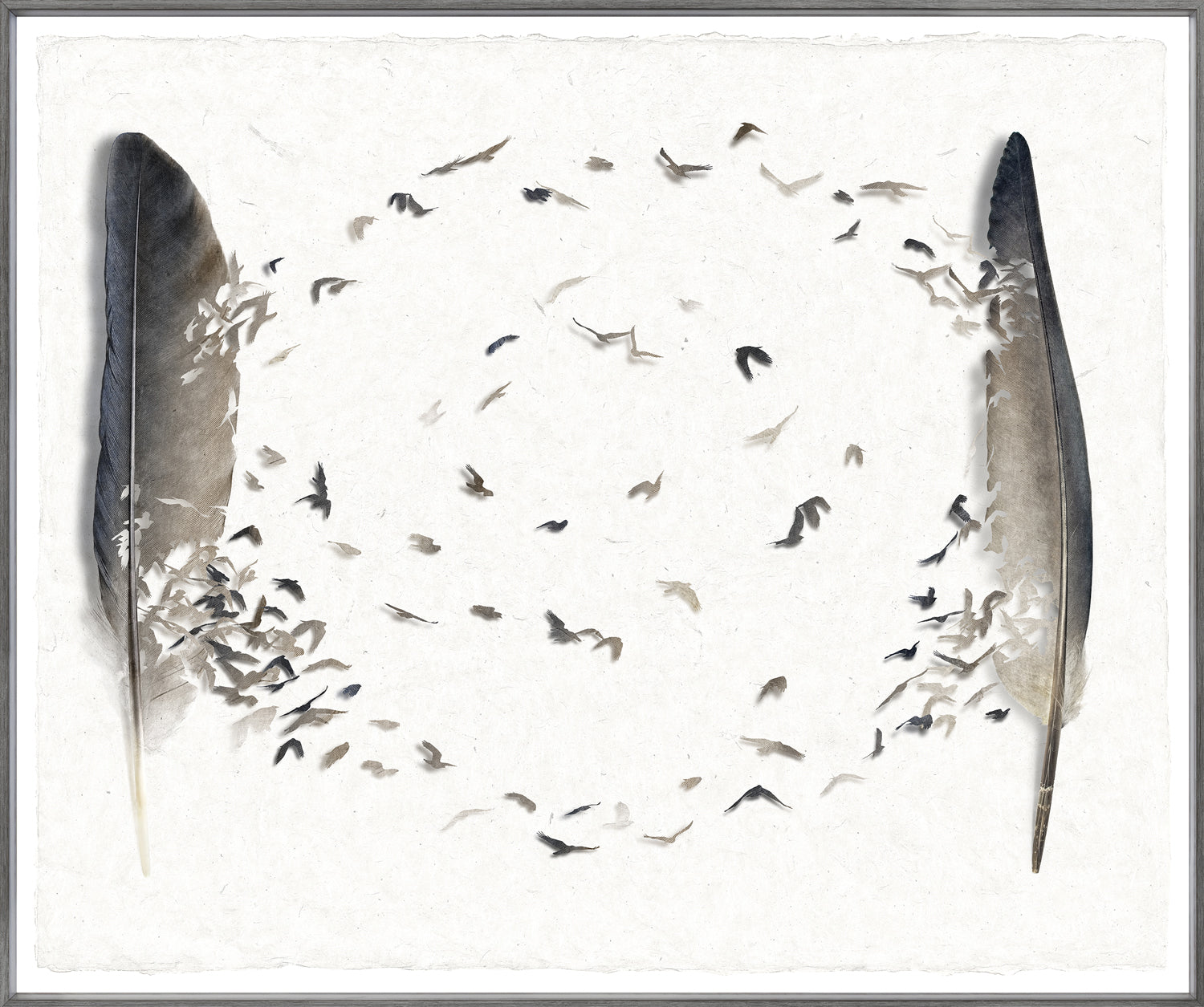 Aerial Circuit wall art featuring feathers and birds in a circular pattern on textured paper.