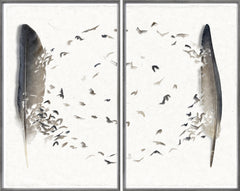 37 × 46,5 pulg