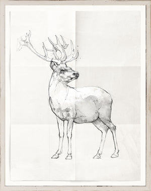Cottage Wildlife Sketches Trio Bundle