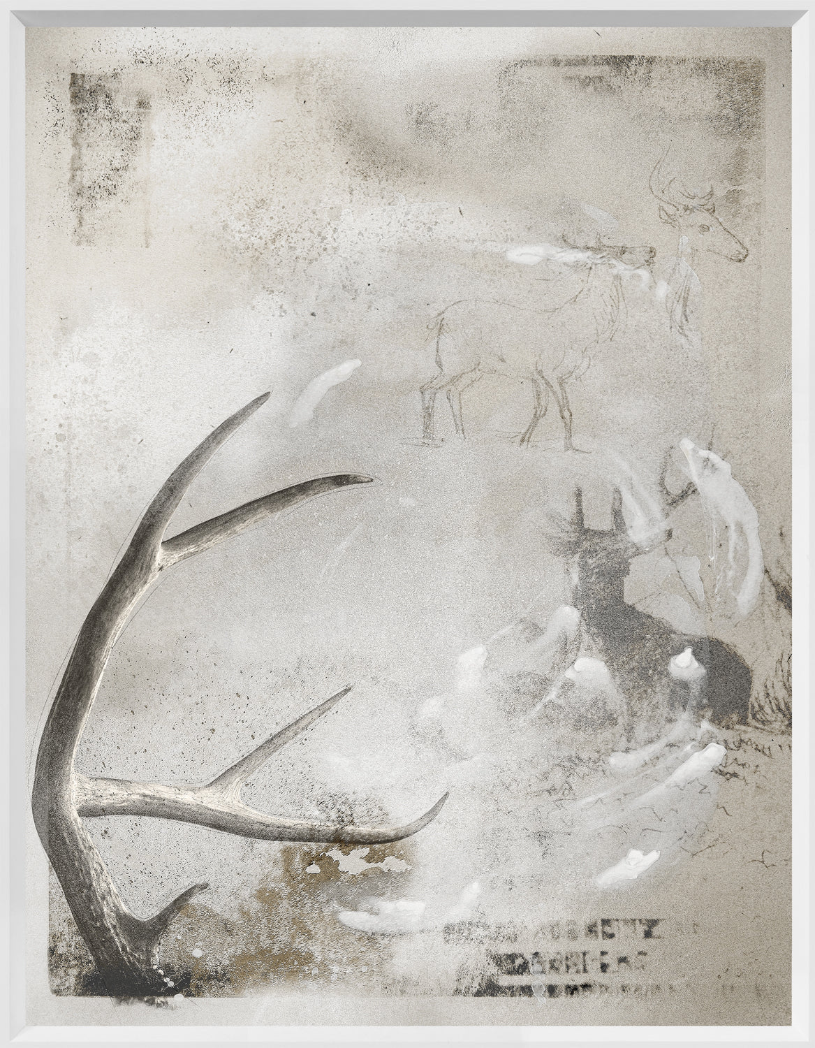 Wilderness Plate I wall art featuring a soft gray background with antlers and deer silhouettes.