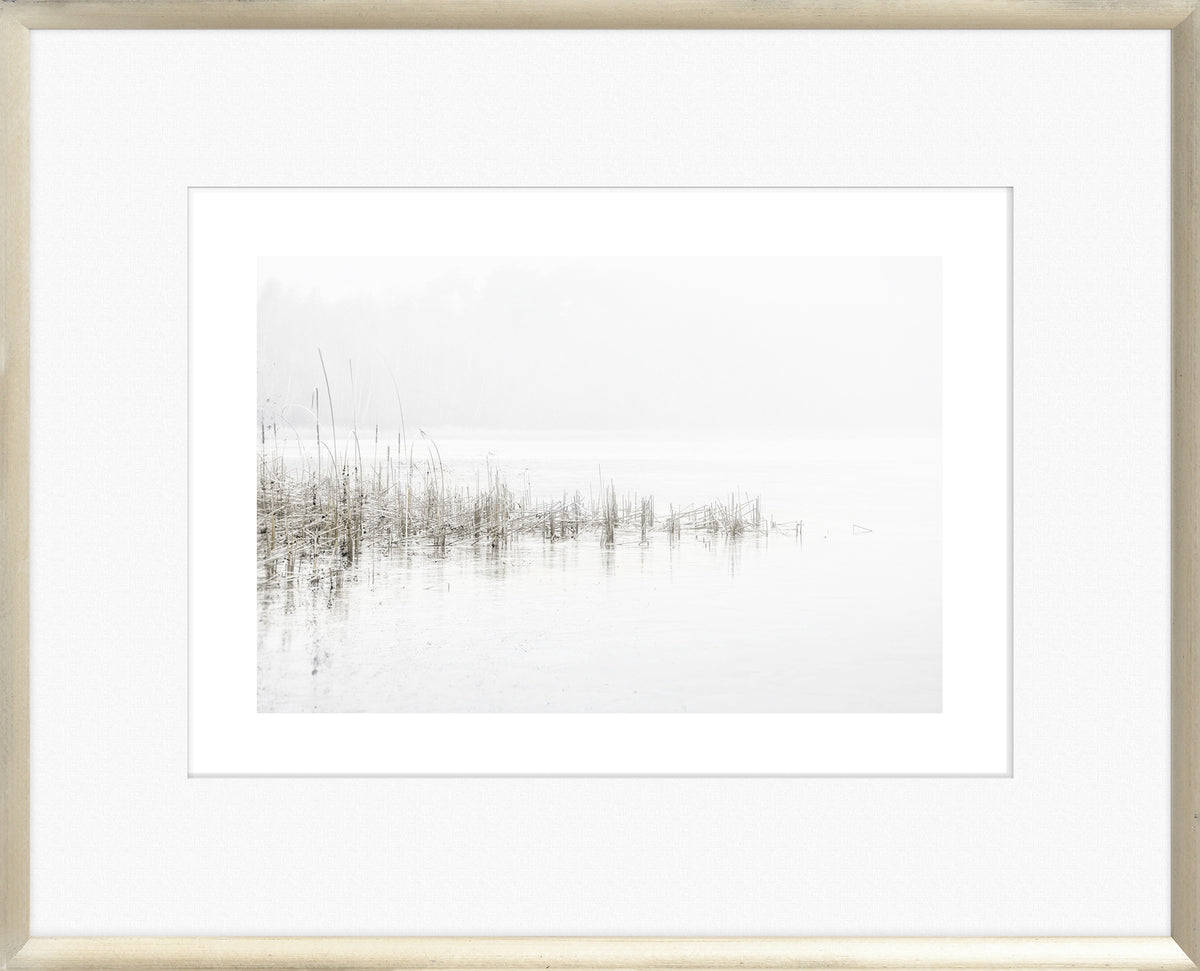 Taupe Aspect VI wall art featuring a serene foggy landscape with reeds by the water.