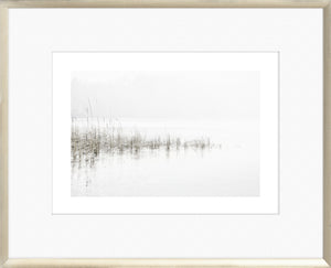 Taupe Aspect VI wall art featuring a serene foggy landscape with reeds by the water.