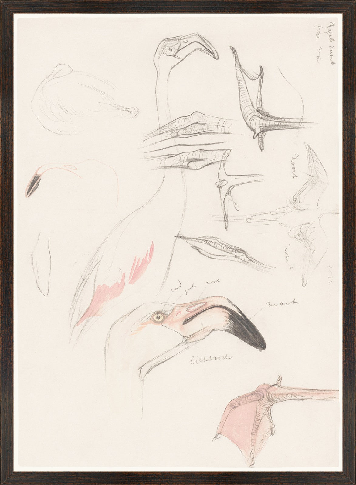 Collection 17 – Flamingo Study wall art