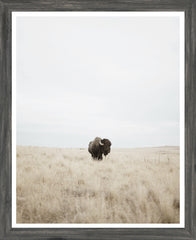 18 × 22 in – Grey Frame